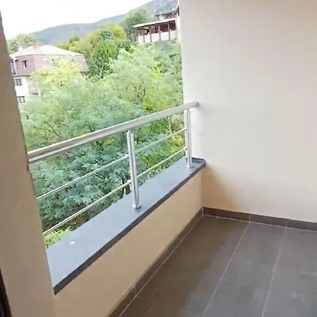 Forest River Sokobanja * Lepterija