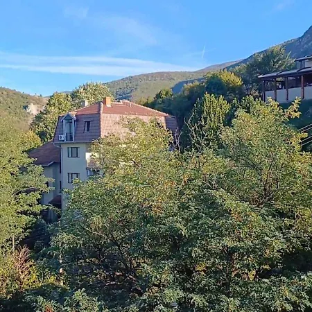Forest River Sokobanja